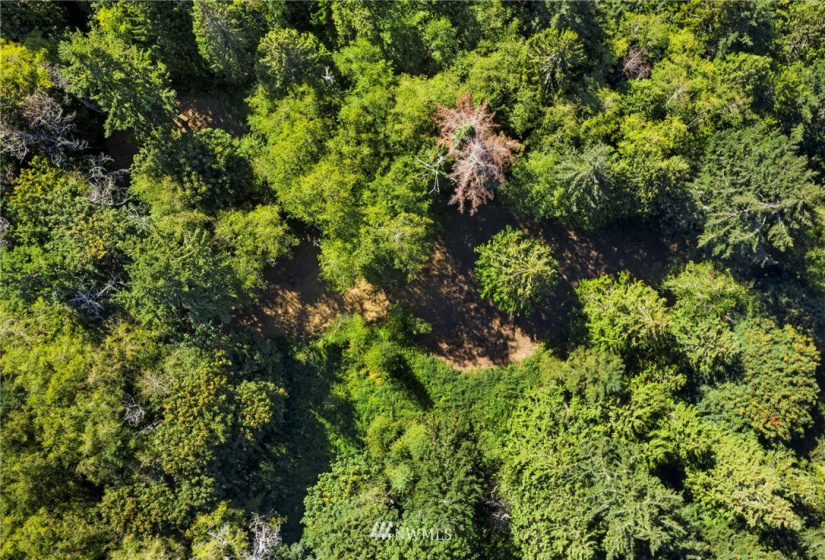 0 xxx 72nd, Longbranch, Washington 98351, ,Land,For Sale,72nd,NWM1842544