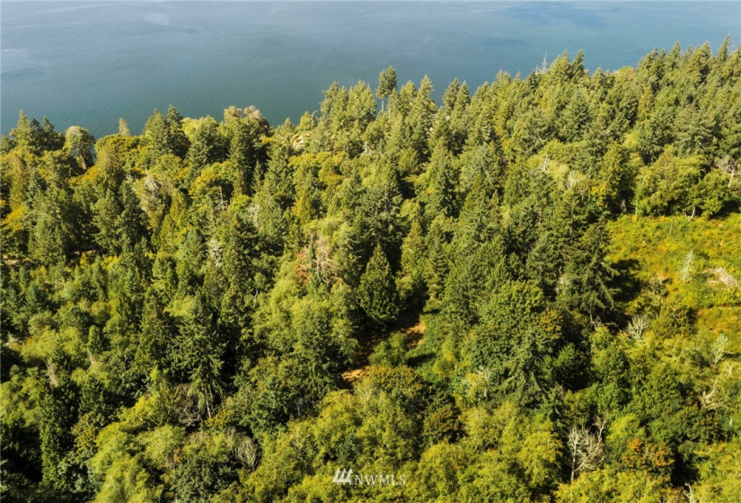 0 xxx 72nd, Longbranch, Washington 98351, ,Land,For Sale,72nd,NWM1842544