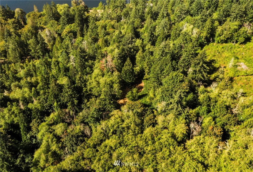 0 xxx 72nd, Longbranch, Washington 98351, ,Land,For Sale,72nd,NWM1842544