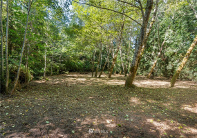 0 xxx 72nd, Longbranch, Washington 98351, ,Land,For Sale,72nd,NWM1842544