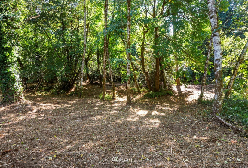0 xxx 72nd, Longbranch, Washington 98351, ,Land,For Sale,72nd,NWM1842544