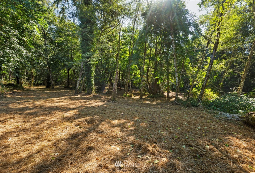 0 xxx 72nd, Longbranch, Washington 98351, ,Land,For Sale,72nd,NWM1842544