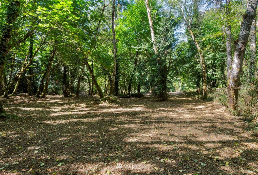 0 xxx 72nd, Longbranch, Washington 98351, ,Land,For Sale,72nd,NWM1842544