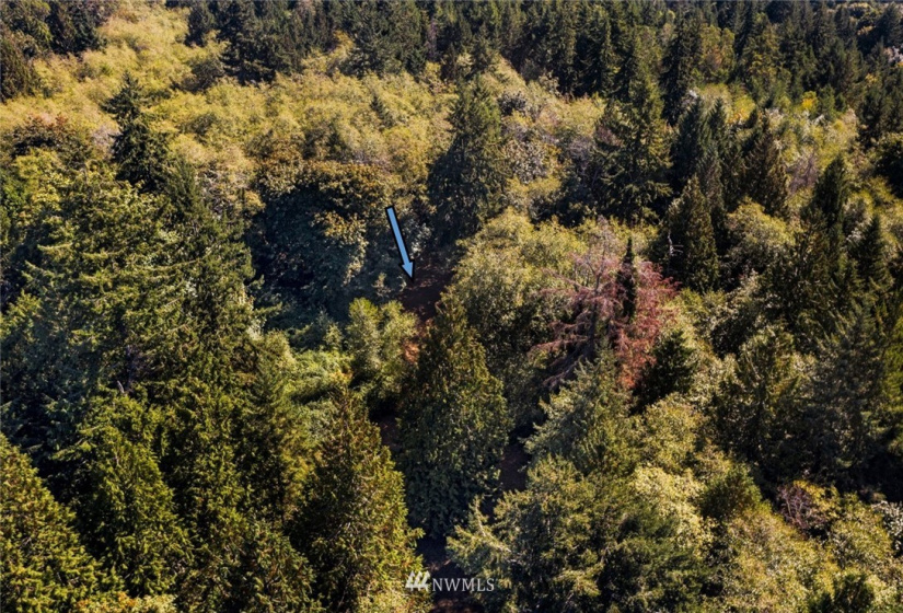 0 xxx 72nd, Longbranch, Washington 98351, ,Land,For Sale,72nd,NWM1842544