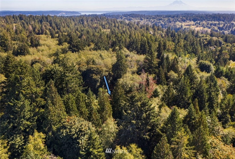 0 xxx 72nd, Longbranch, Washington 98351, ,Land,For Sale,72nd,NWM1842544