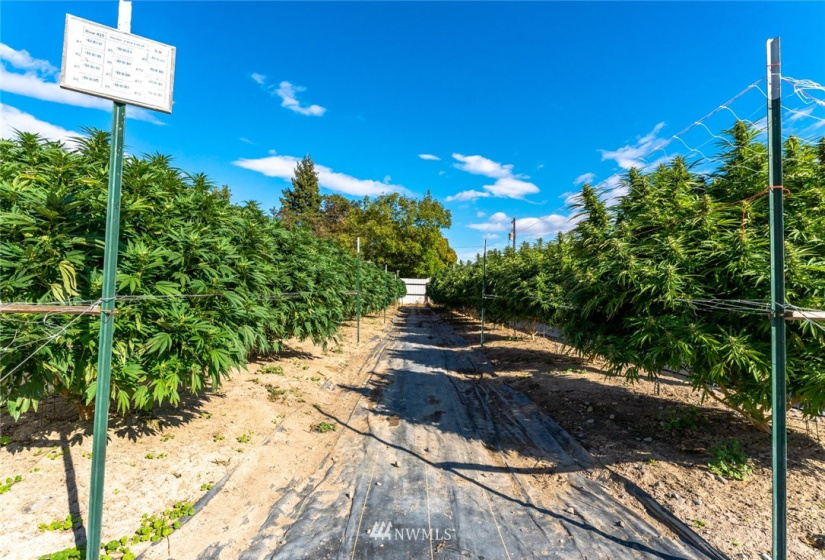 744 State Route 173, Brewster, Washington 98812, ,Commercial Sale,For Sale,State Route 173,NWM1842902