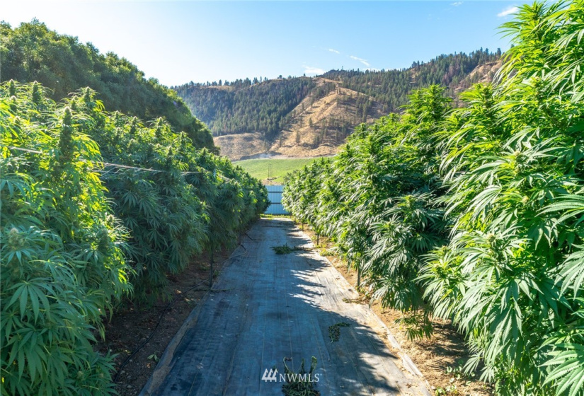 744 State Route 173, Brewster, Washington 98812, ,Commercial Sale,For Sale,State Route 173,NWM1842902