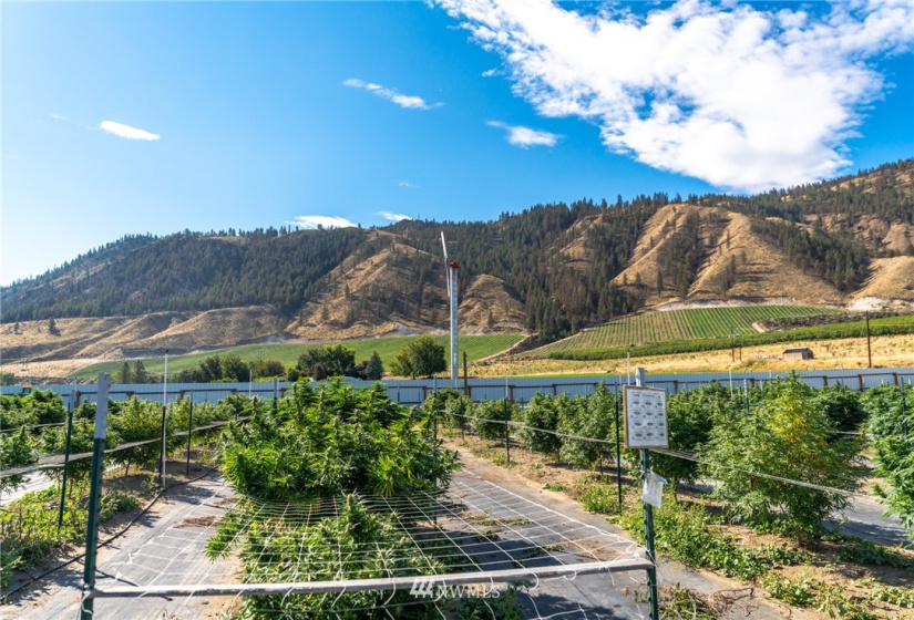 744 State Route 173, Brewster, Washington 98812, ,Commercial Sale,For Sale,State Route 173,NWM1842902