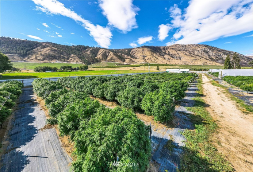 744 State Route 173, Brewster, Washington 98812, ,Commercial Sale,For Sale,State Route 173,NWM1842902