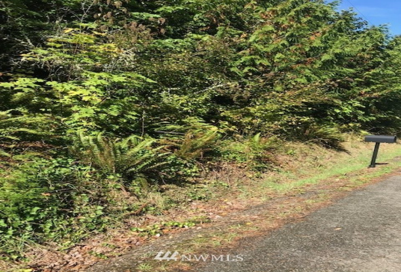 34383 Bridge View, Kingston, Washington 98346, ,Land,For Sale,Cliffside,Bridge View,NWM1841451