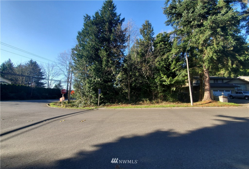 17922 25th, Bothell, Washington 98012, ,Land,For Sale,25th,NWM1842677