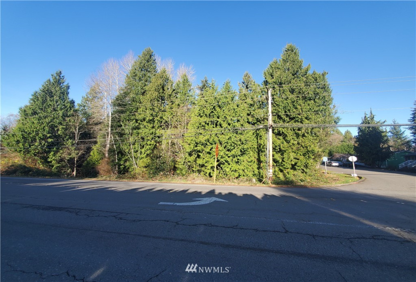17922 25th, Bothell, Washington 98012, ,Land,For Sale,25th,NWM1842677