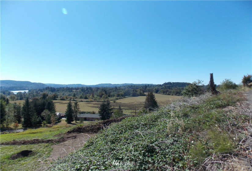 109 Pleasant Hill, Mossyrock, Washington 98564, ,Land,For Sale,Pleasant Hill,Pleasant Hill,NWM1842986