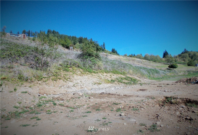 109 Pleasant Hill, Mossyrock, Washington 98564, ,Land,For Sale,Pleasant Hill,Pleasant Hill,NWM1842986