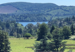 109 Pleasant Hill, Mossyrock, Washington 98564, ,Land,For Sale,Pleasant Hill,Pleasant Hill,NWM1842986