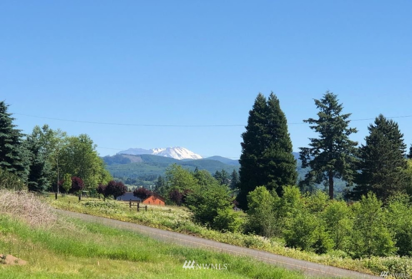 109 Pleasant Hill, Mossyrock, Washington 98564, ,Land,For Sale,Pleasant Hill,Pleasant Hill,NWM1842986