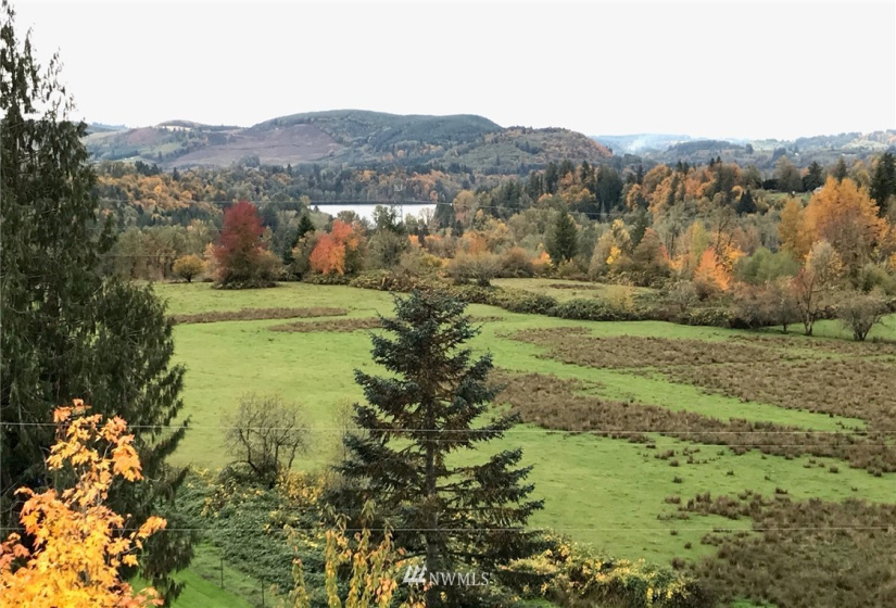 109 Pleasant Hill, Mossyrock, Washington 98564, ,Land,For Sale,Pleasant Hill,Pleasant Hill,NWM1842986