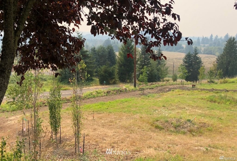 109 Pleasant Hill, Mossyrock, Washington 98564, ,Land,For Sale,Pleasant Hill,Pleasant Hill,NWM1842986