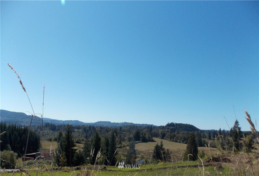 109 Pleasant Hill, Mossyrock, Washington 98564, ,Land,For Sale,Pleasant Hill,Pleasant Hill,NWM1842986