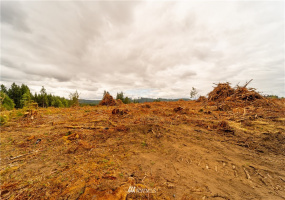 2 Summers, Centralia, Washington 98531, ,Land,For Sale,Summers,NWM1843076