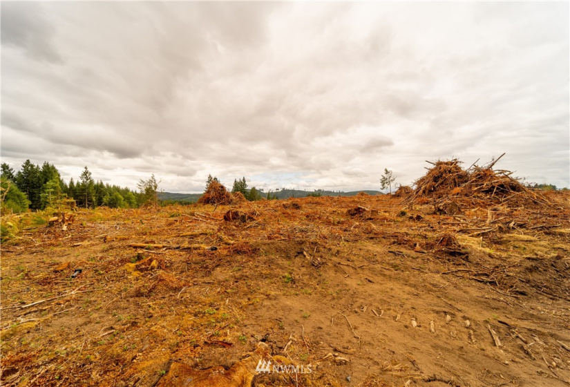 3 Summers, Centralia, Washington 98531, ,Land,For Sale,Summers,NWM1843092