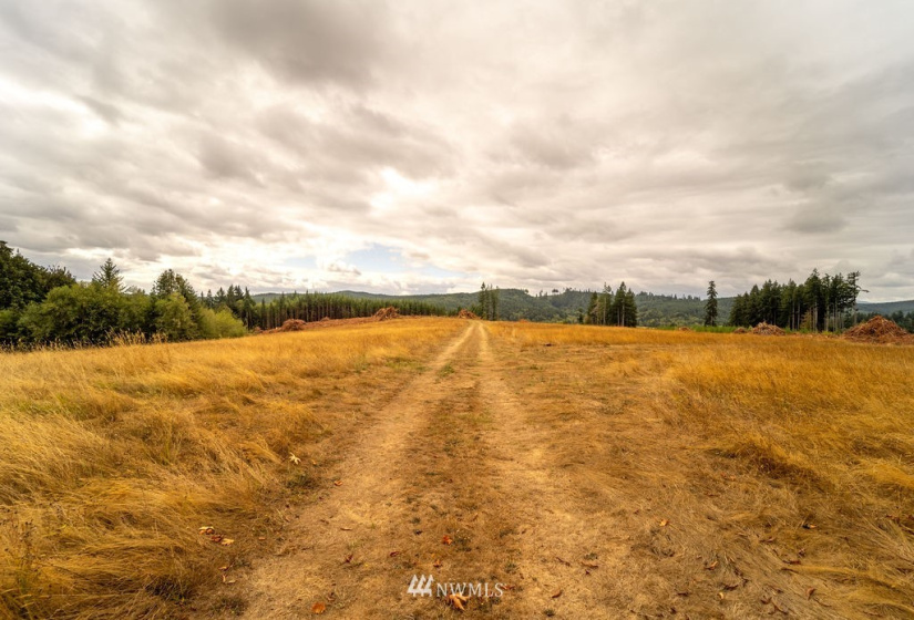 3 Summers, Centralia, Washington 98531, ,Land,For Sale,Summers,NWM1843092