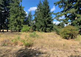 17912 Daryl, Rochester, Washington 98579, ,Land,For Sale,Daryl,NWM1842819