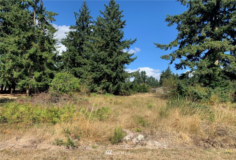 17912 Daryl, Rochester, Washington 98579, ,Land,For Sale,Daryl,NWM1842819