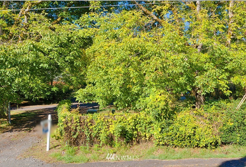 24510 419, Amboy, Washington 98601, ,Land,For Sale,419,NWM1842518