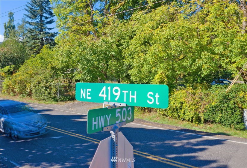 24510 419, Amboy, Washington 98601, ,Land,For Sale,419,NWM1842518