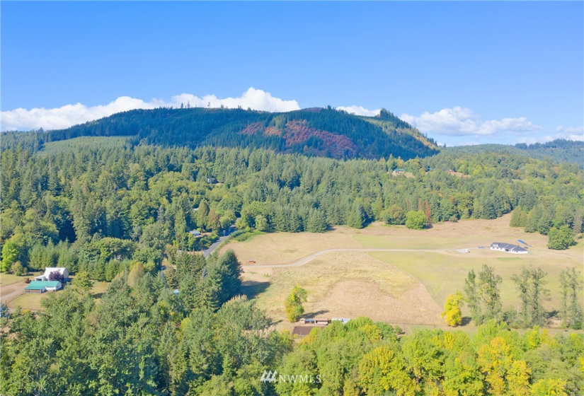 24510 419, Amboy, Washington 98601, ,Land,For Sale,419,NWM1842518
