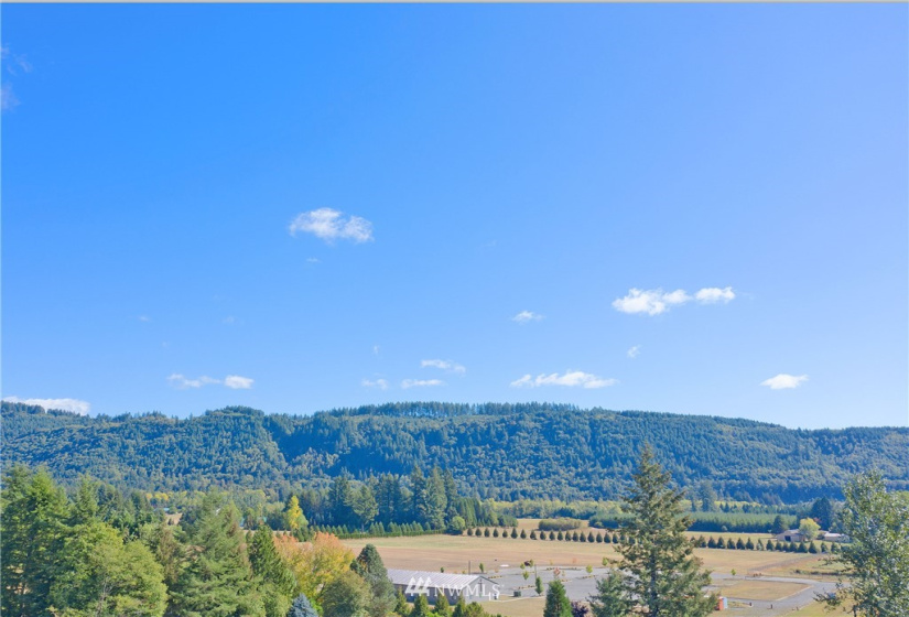24510 419, Amboy, Washington 98601, ,Land,For Sale,419,NWM1842518
