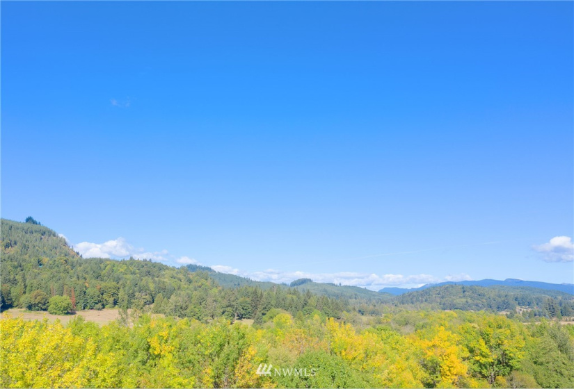 24510 419, Amboy, Washington 98601, ,Land,For Sale,419,NWM1842518