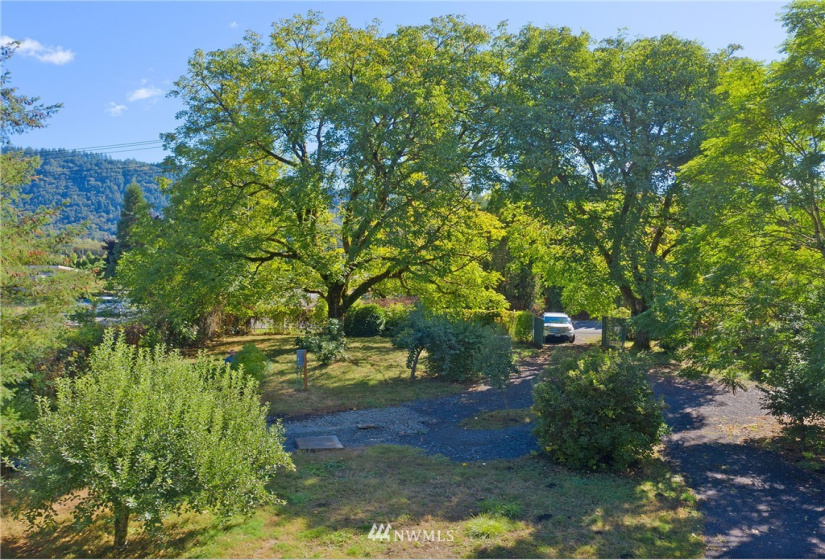 24510 419, Amboy, Washington 98601, ,Land,For Sale,419,NWM1842518