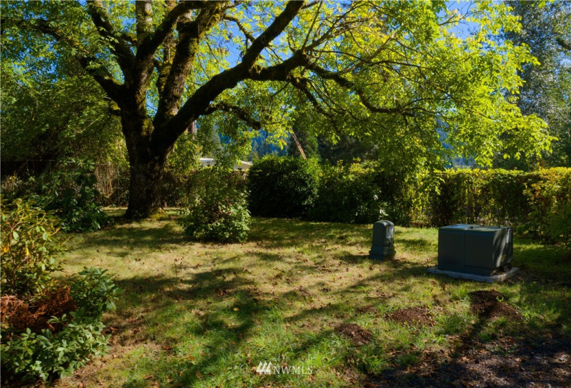 24510 419, Amboy, Washington 98601, ,Land,For Sale,419,NWM1842518
