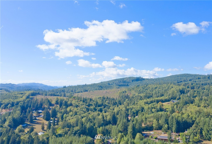 24510 419, Amboy, Washington 98601, ,Land,For Sale,419,NWM1842518