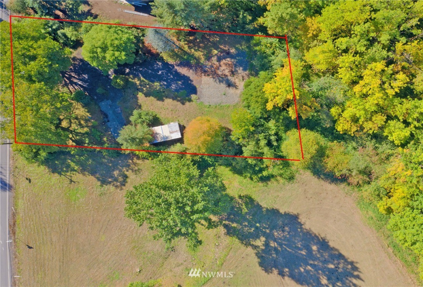 24510 419, Amboy, Washington 98601, ,Land,For Sale,419,NWM1842518
