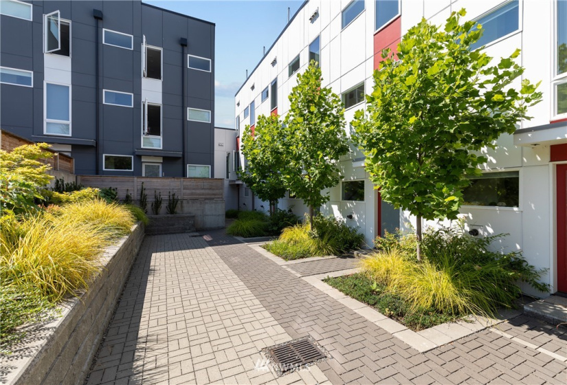 4356 6th, Seattle, Washington 98107, 2 Bedrooms Bedrooms, ,2 BathroomsBathrooms,Residential,For Sale,6th,NWM1843545