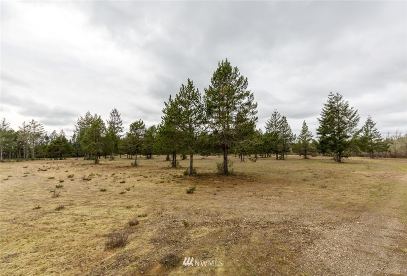 10970 Highway 101, Shelton, Washington 98584, ,Commercial Sale,For Sale,Highway 101,NWM1836965