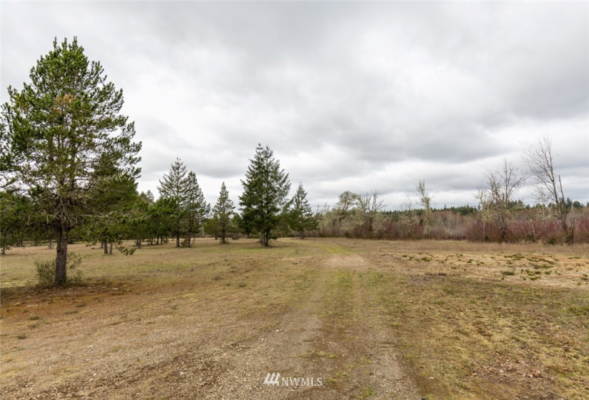 10970 Highway 101, Shelton, Washington 98584, ,Commercial Sale,For Sale,Highway 101,NWM1836965
