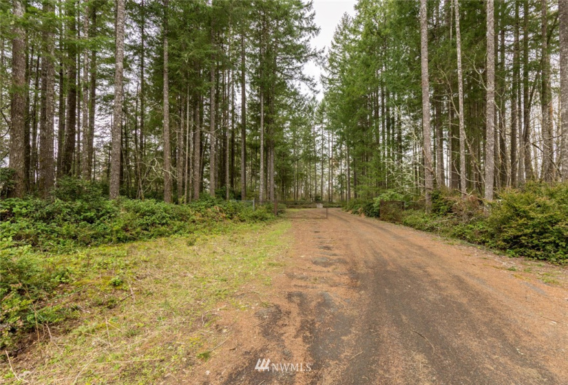 10970 Highway 101, Shelton, Washington 98584, ,Commercial Sale,For Sale,Highway 101,NWM1836965