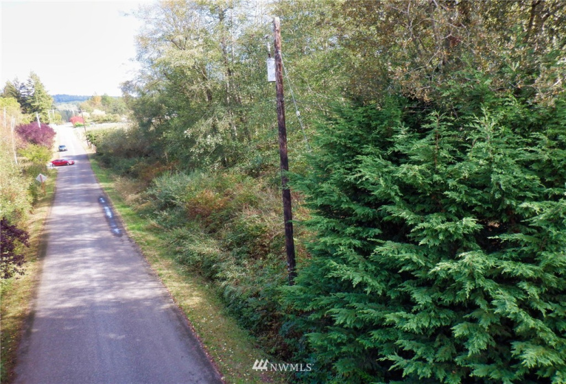20787 Bulson, Stanwood, Washington 98292, ,Land,For Sale,Bulson,NWM1841822