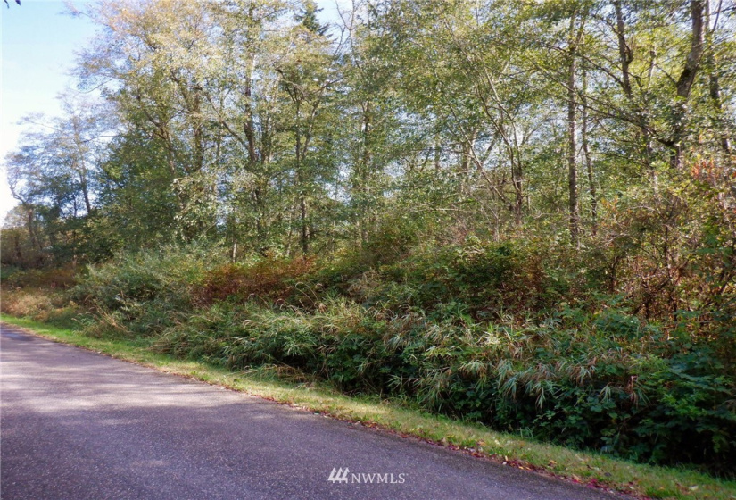 20787 Bulson, Stanwood, Washington 98292, ,Land,For Sale,Bulson,NWM1841822