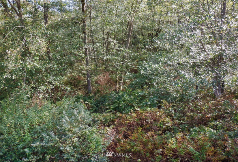 20787 Bulson, Stanwood, Washington 98292, ,Land,For Sale,Bulson,NWM1841822
