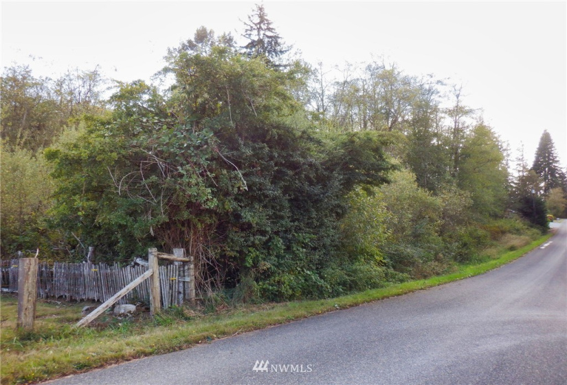 20787 Bulson, Stanwood, Washington 98292, ,Land,For Sale,Bulson,NWM1841822