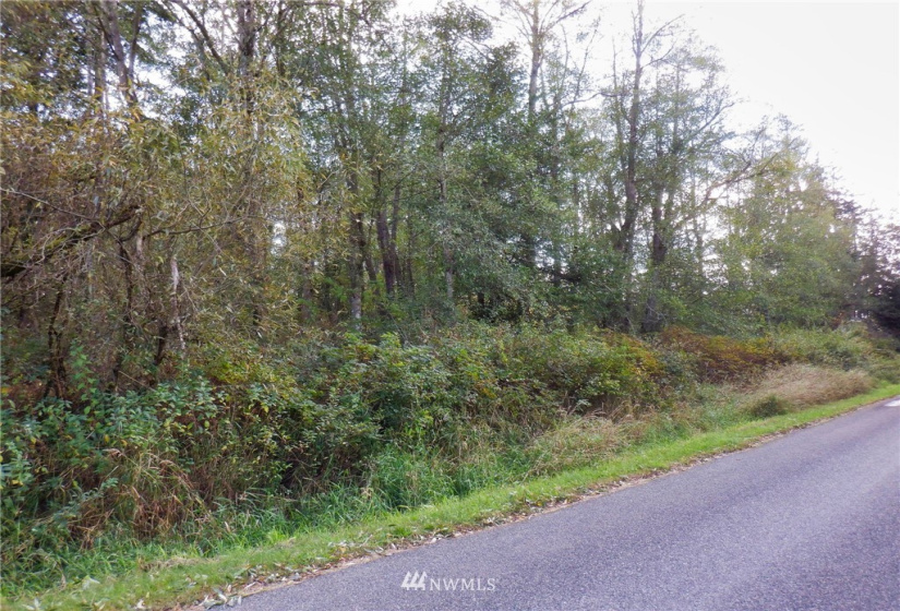 20787 Bulson, Stanwood, Washington 98292, ,Land,For Sale,Bulson,NWM1841822
