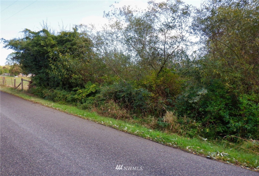 20787 Bulson, Stanwood, Washington 98292, ,Land,For Sale,Bulson,NWM1841822