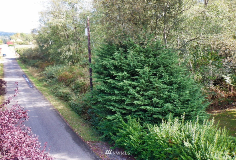 20787 Bulson, Stanwood, Washington 98292, ,Land,For Sale,Bulson,NWM1841822