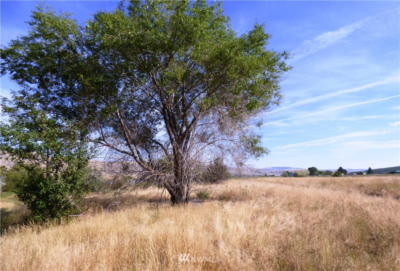 24 Hadley, Brewster, Washington 98812, ,Land,For Sale,Hadley,NWM1843393