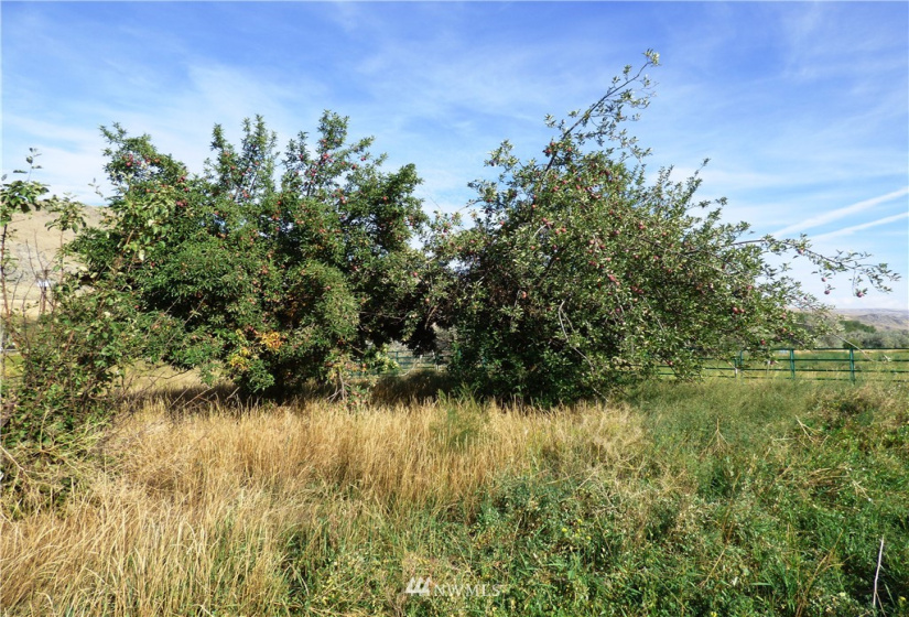 24 Hadley, Brewster, Washington 98812, ,Land,For Sale,Hadley,NWM1843393
